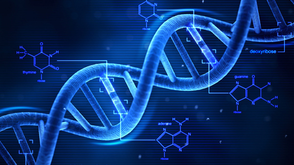 dna